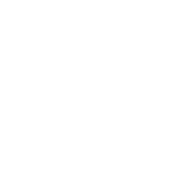 V4 Company