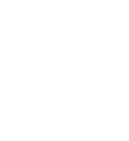 Vinci Society